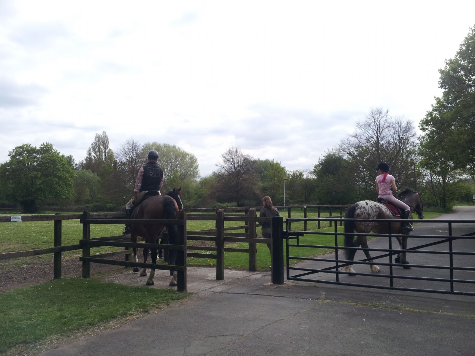 Lee Valley Riding Centre
